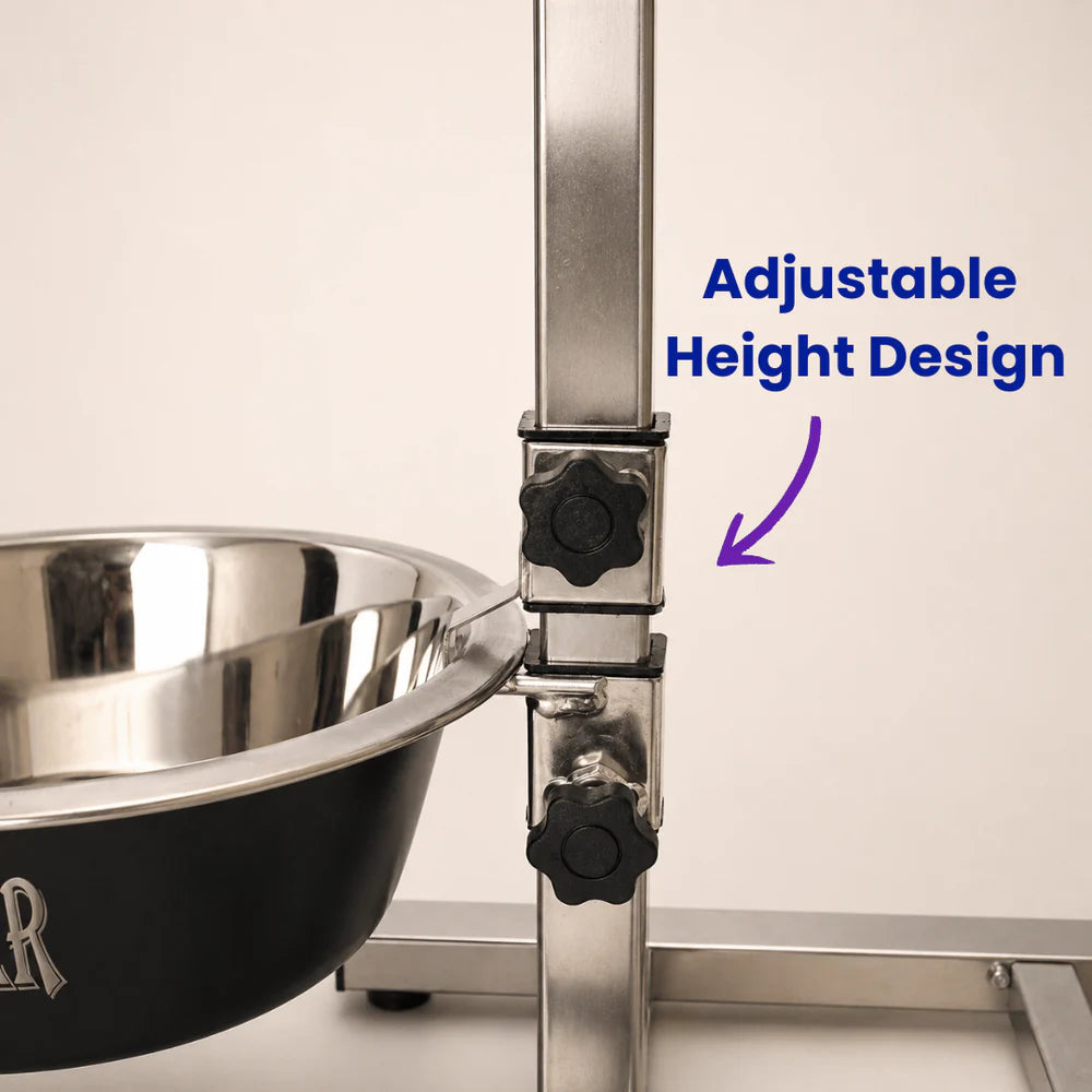Stainless steel dog bowl with adjustable height design on a white background