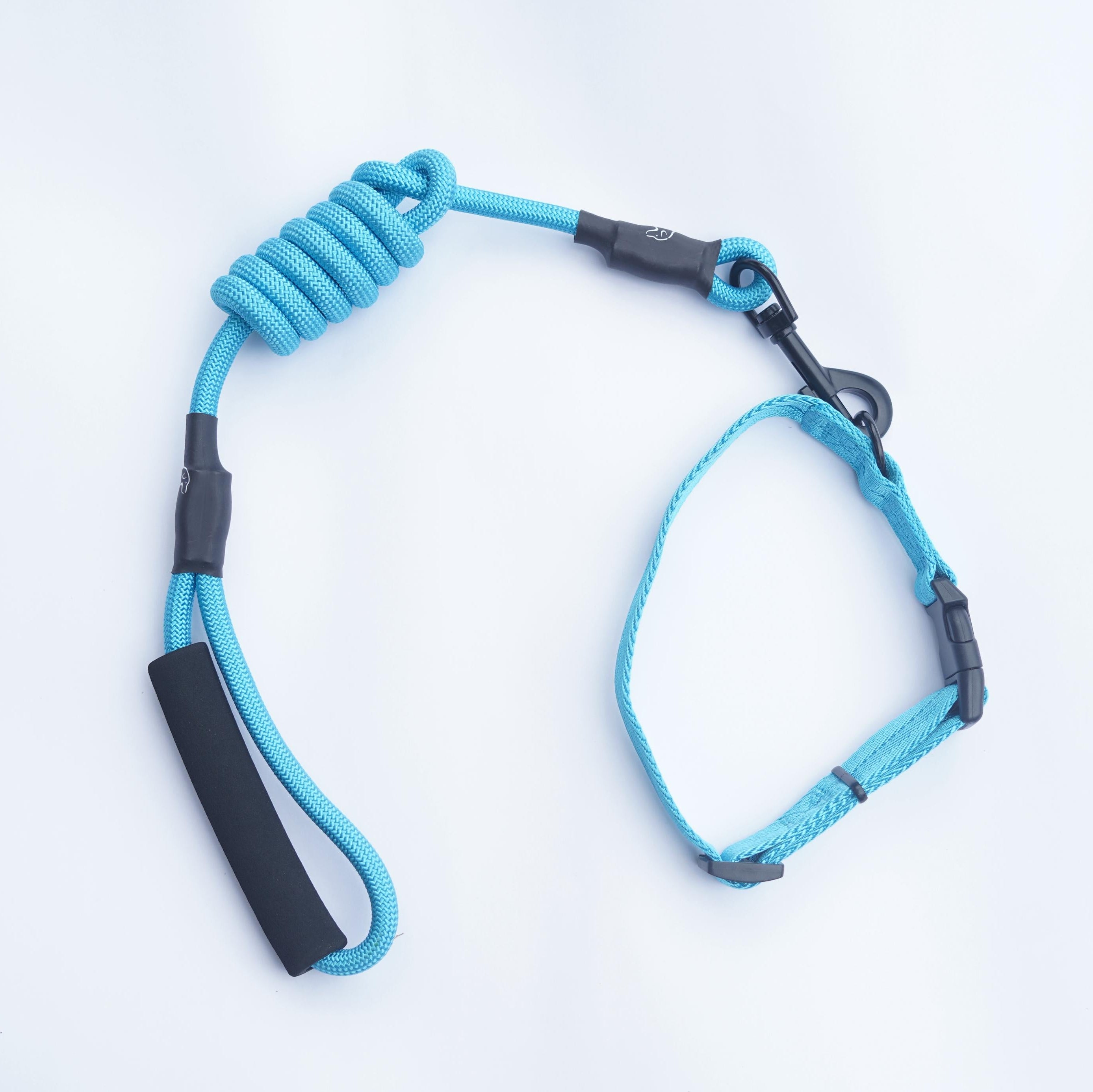 Adjustable dog leash and collar combo for walking