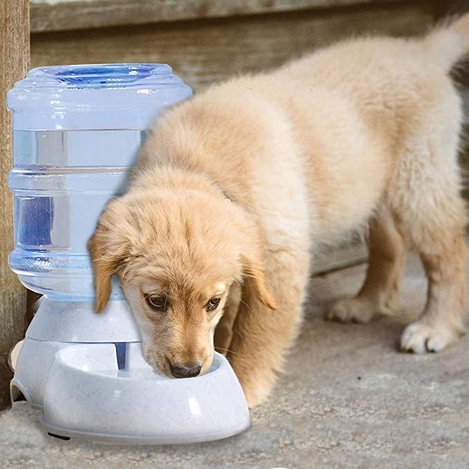 Self-dispensing water station – safe and electricity-free