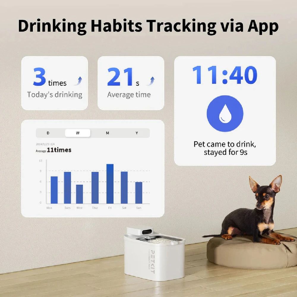 best water fountain for cats and dogs India petkit