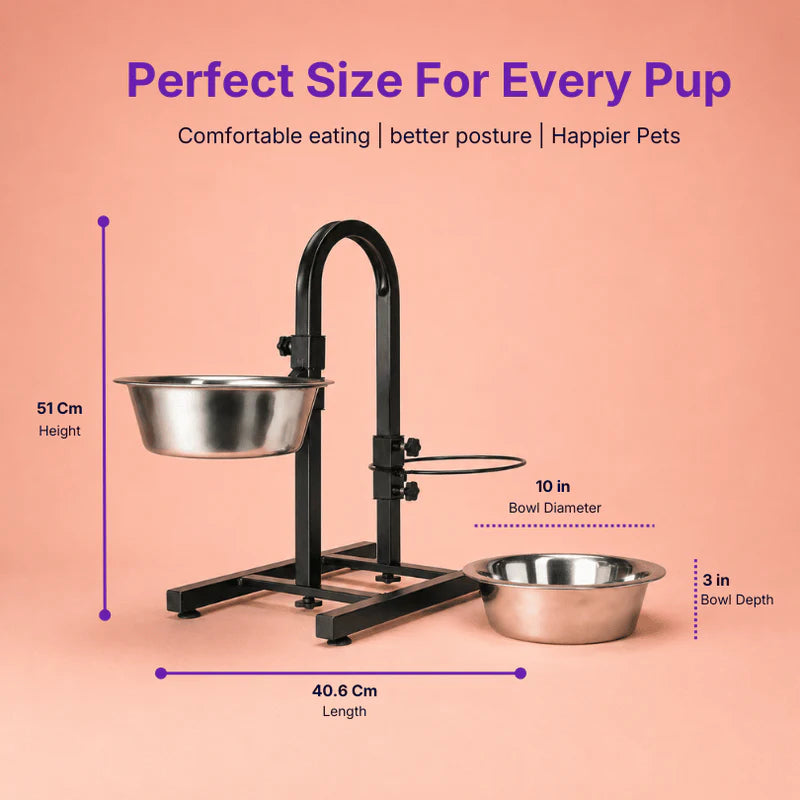 black adjustable dog feeding stand
