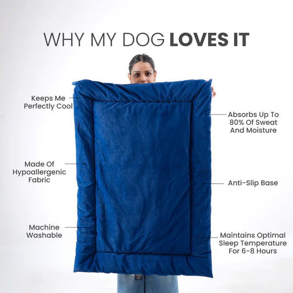 Buy Therma Flow Summer Dog Bed Petspalz at Best Price Online – woman holding Royal Blue cooling pet bed with hypoallergenic fabric and anti-slip base.