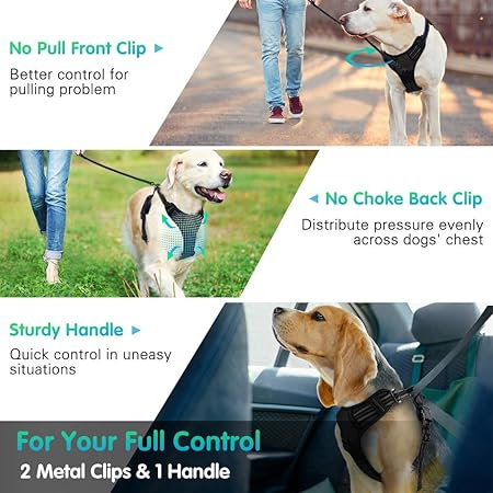 Soft padded no-choke dog vest harness for outdoor walking