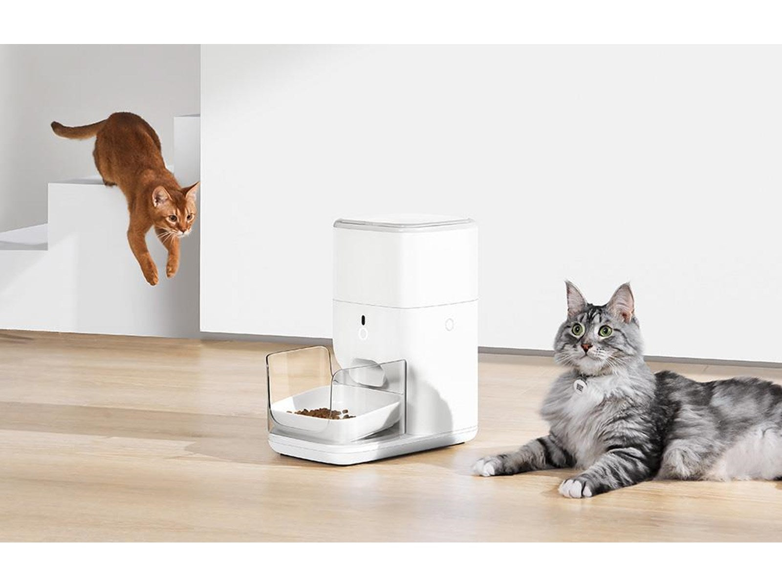 CATLINK automatic feeder RFID smart pet feeder
