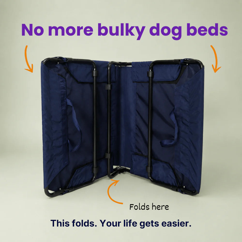 foldable elevated pet bed waterproof