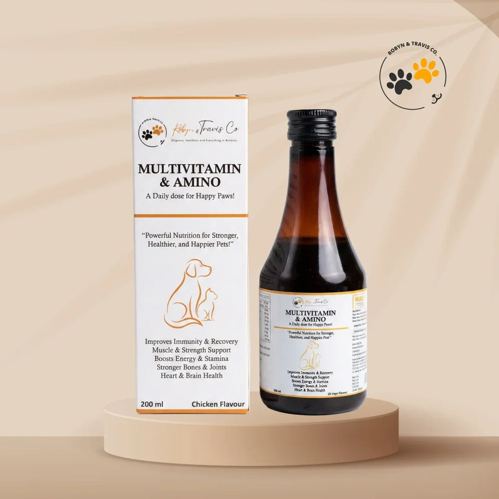 Coatzy omega supplement for dogs and cats skin and coat