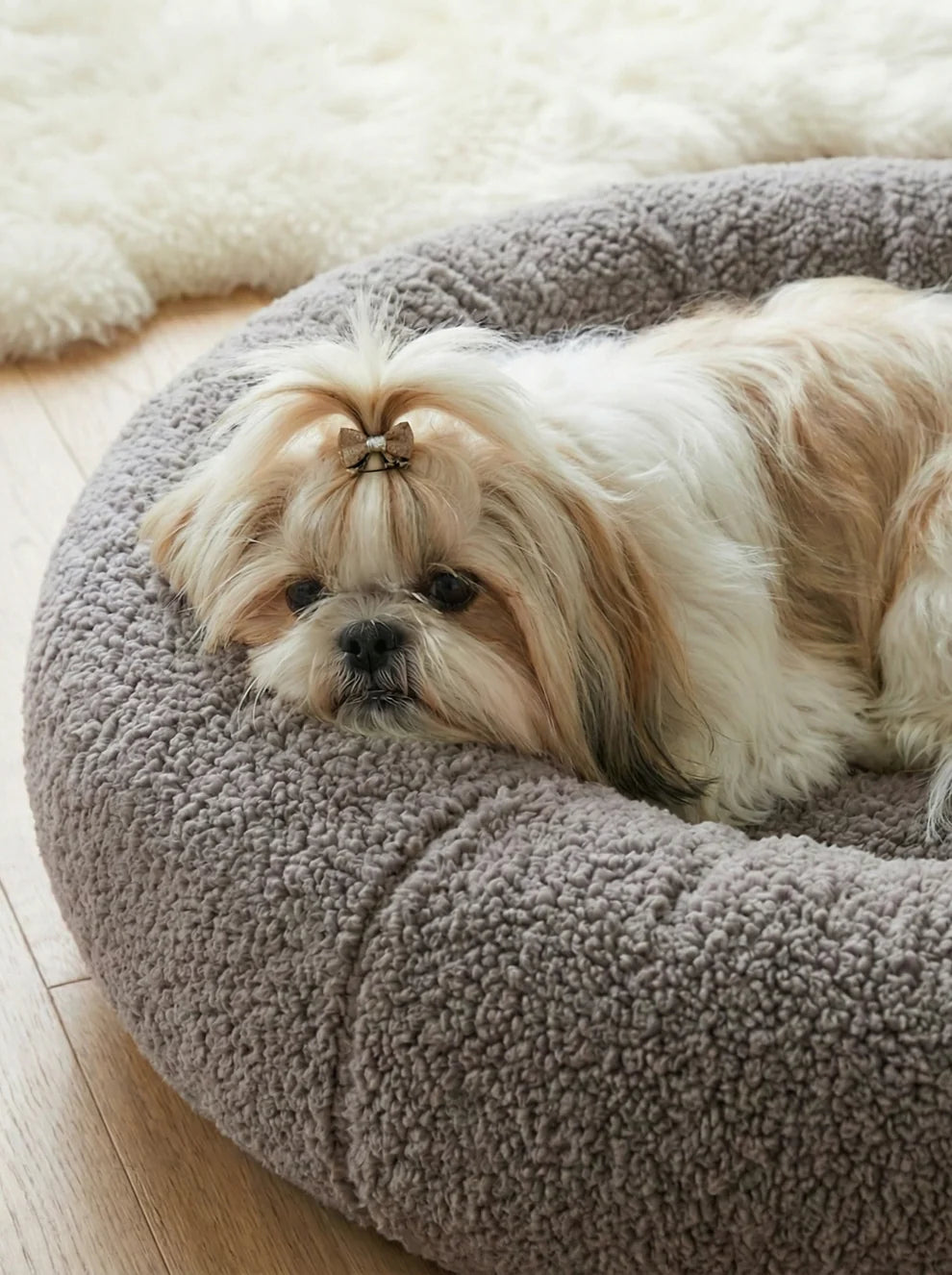 comfortable dog bed