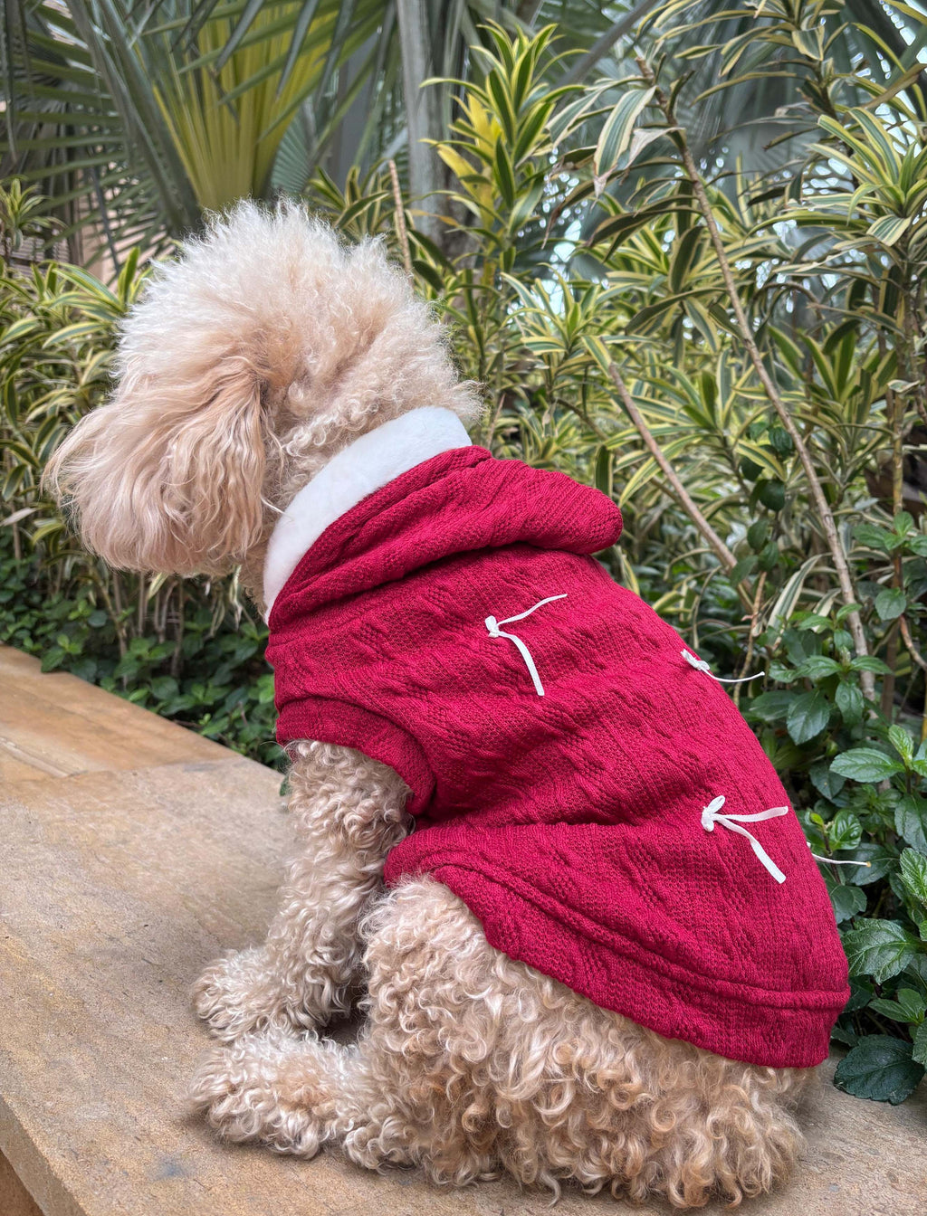 Cozy bow red dog jacket with sherpa lining  