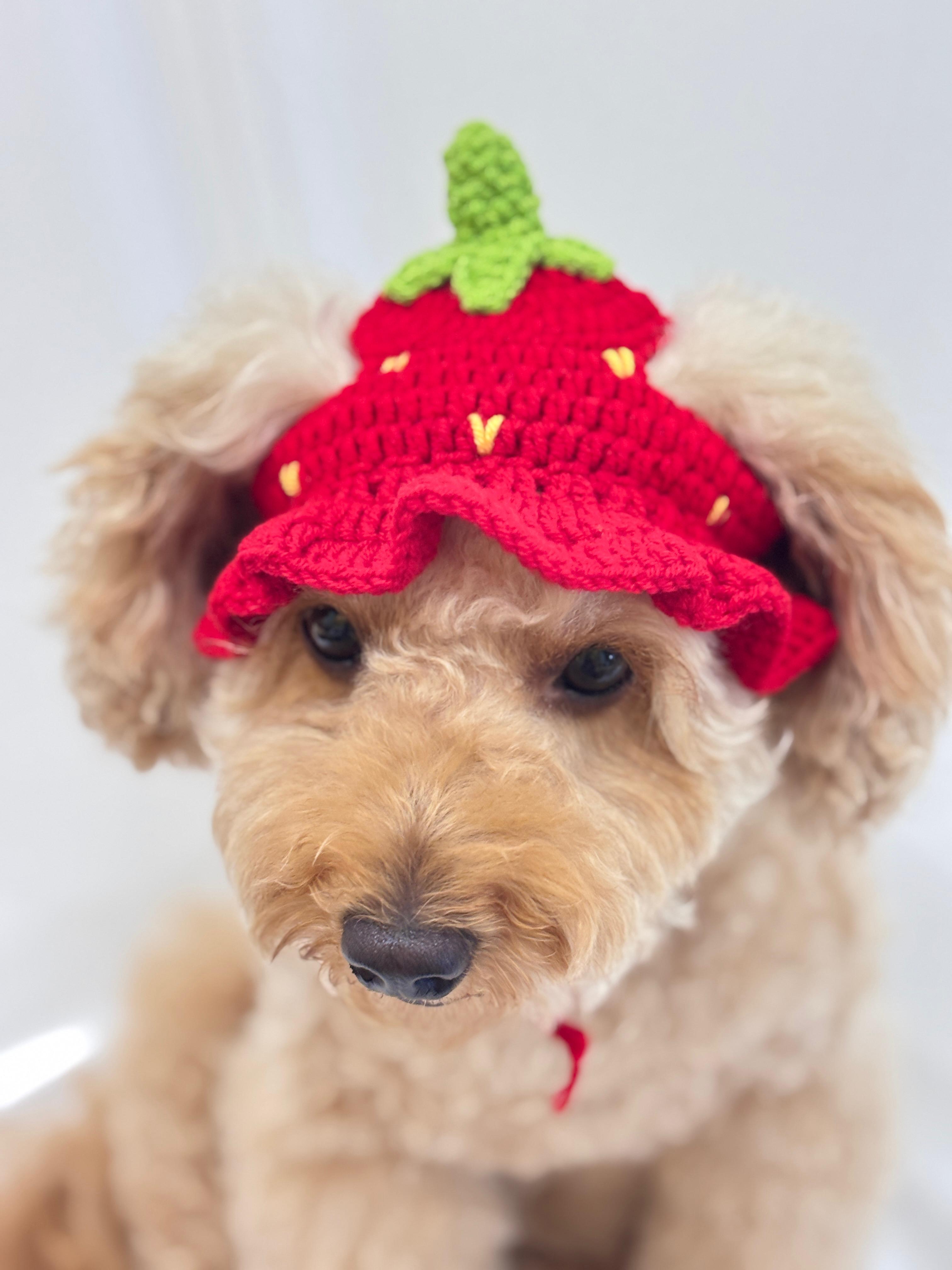 Red crochet pet cap with green leafy top  