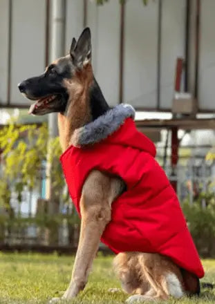 Dog Winter Jacket Waterproof and Windproof Puffer Jacket - Petspalz