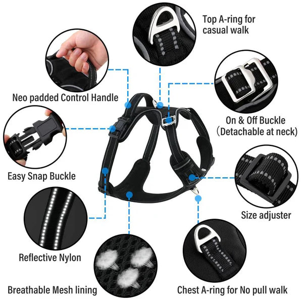 Dog harness with features highlighted on a white background