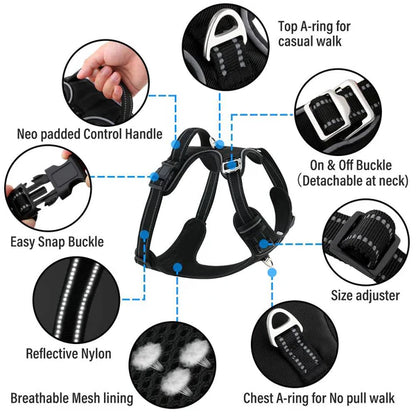 Dog harness with features highlighted on a white background