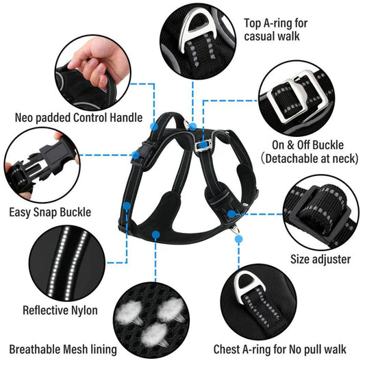 Dog harness with features highlighted on a white background