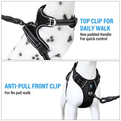 Dog harness with top clip and anti-pull front clip on a white background