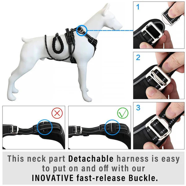 Petspalz