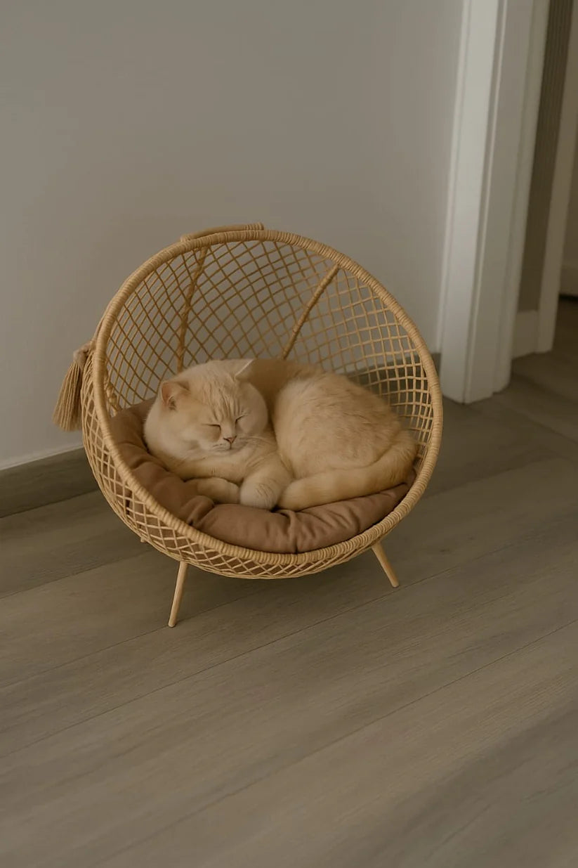 Handmade Wooden Cane Pet Bed with Cushion & Toy – 18x18 for Cats & Small Dogs