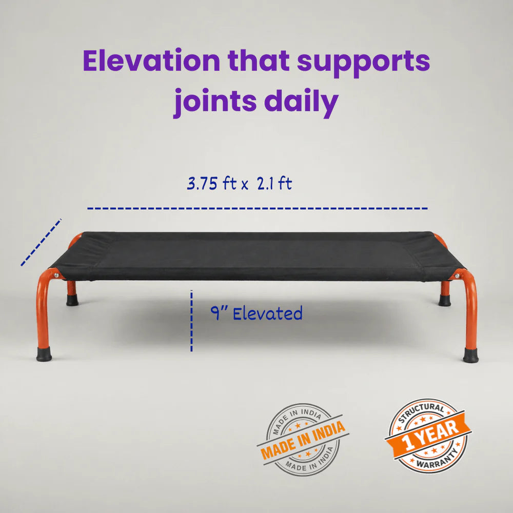 elevated dog bed for large dogs