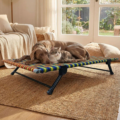 foldable dog bed