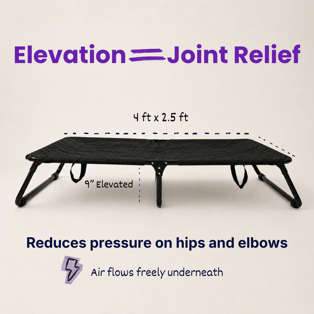 foldable elevated pet bed waterproof