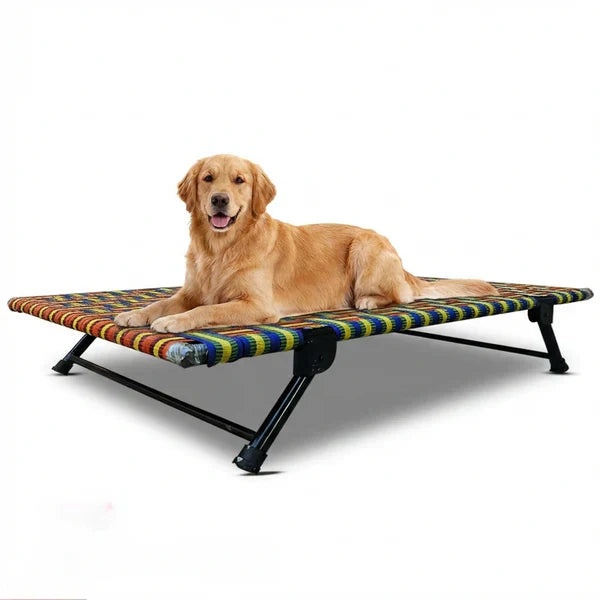 Folding elevated cat and dog bed with breathable waterproof mesh