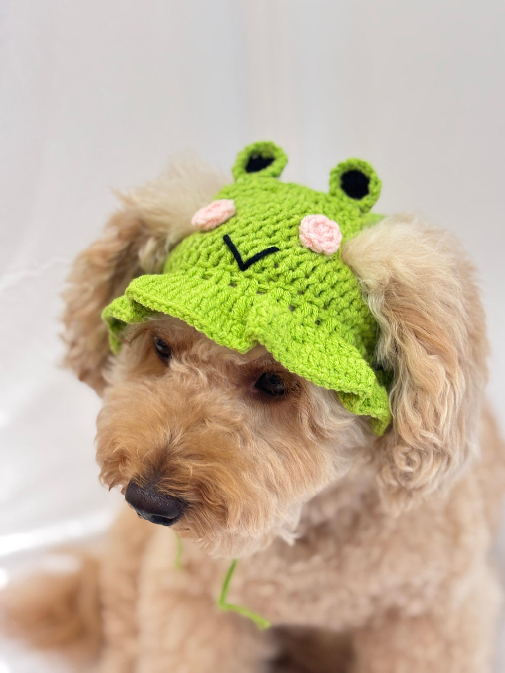 Green crochet frog pet hat with 3D eyes 