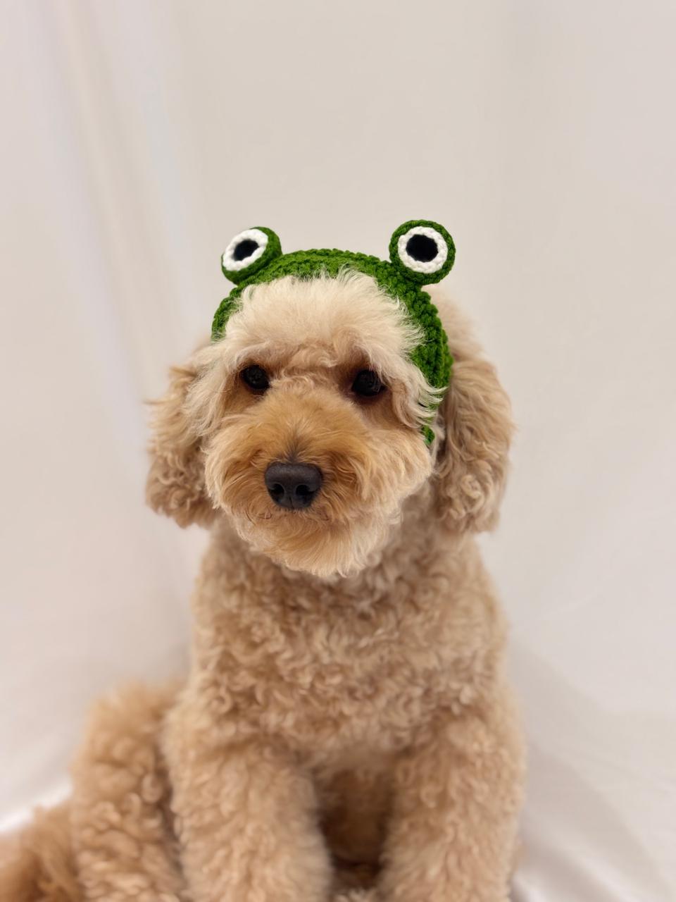 Handmade frog crochet headband for small dogs and cats 