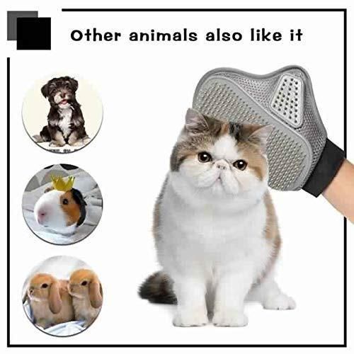 Dog and cat grooming glove removes loose fur easily