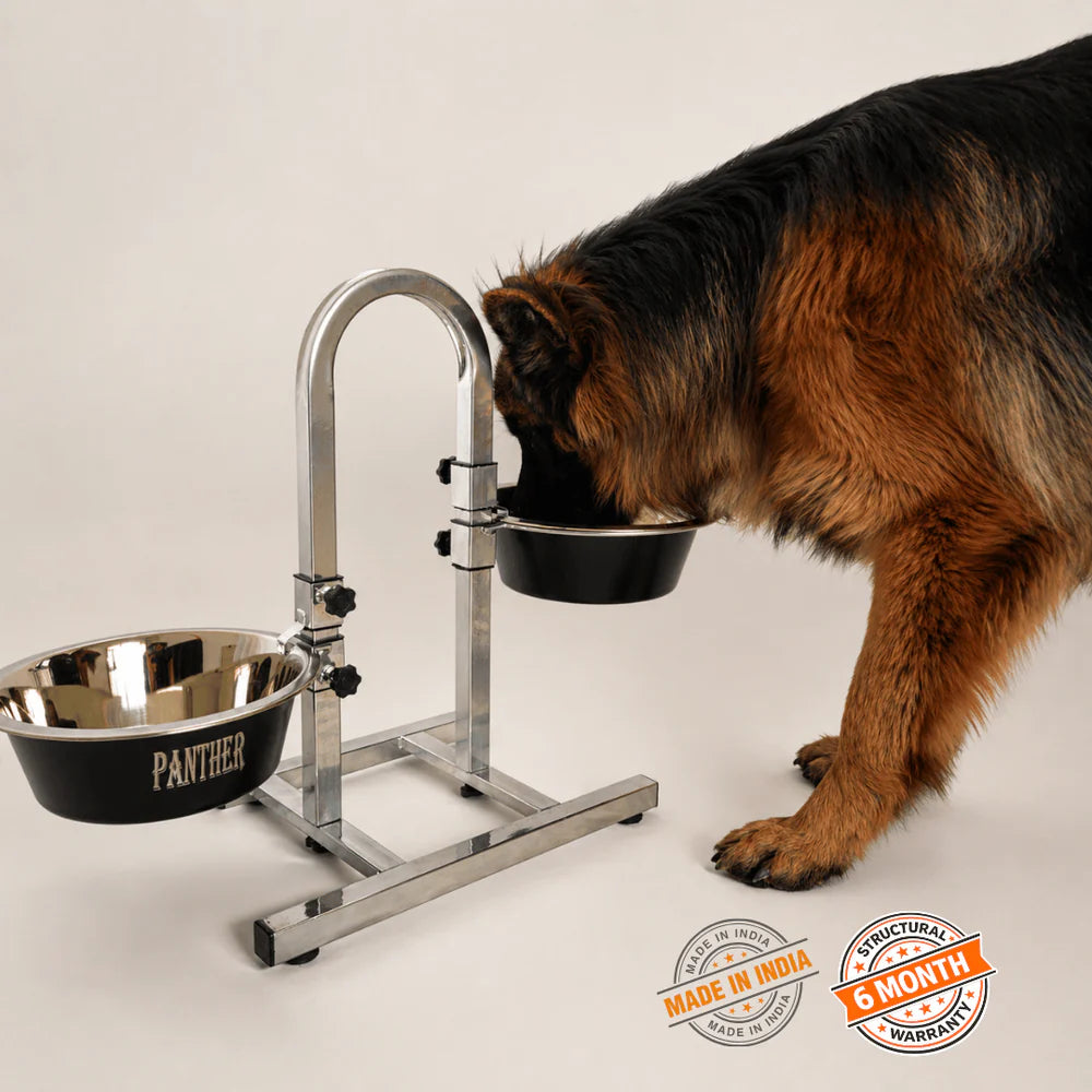 German Shepherd Dog drinking from a elevated metal bowl stand.