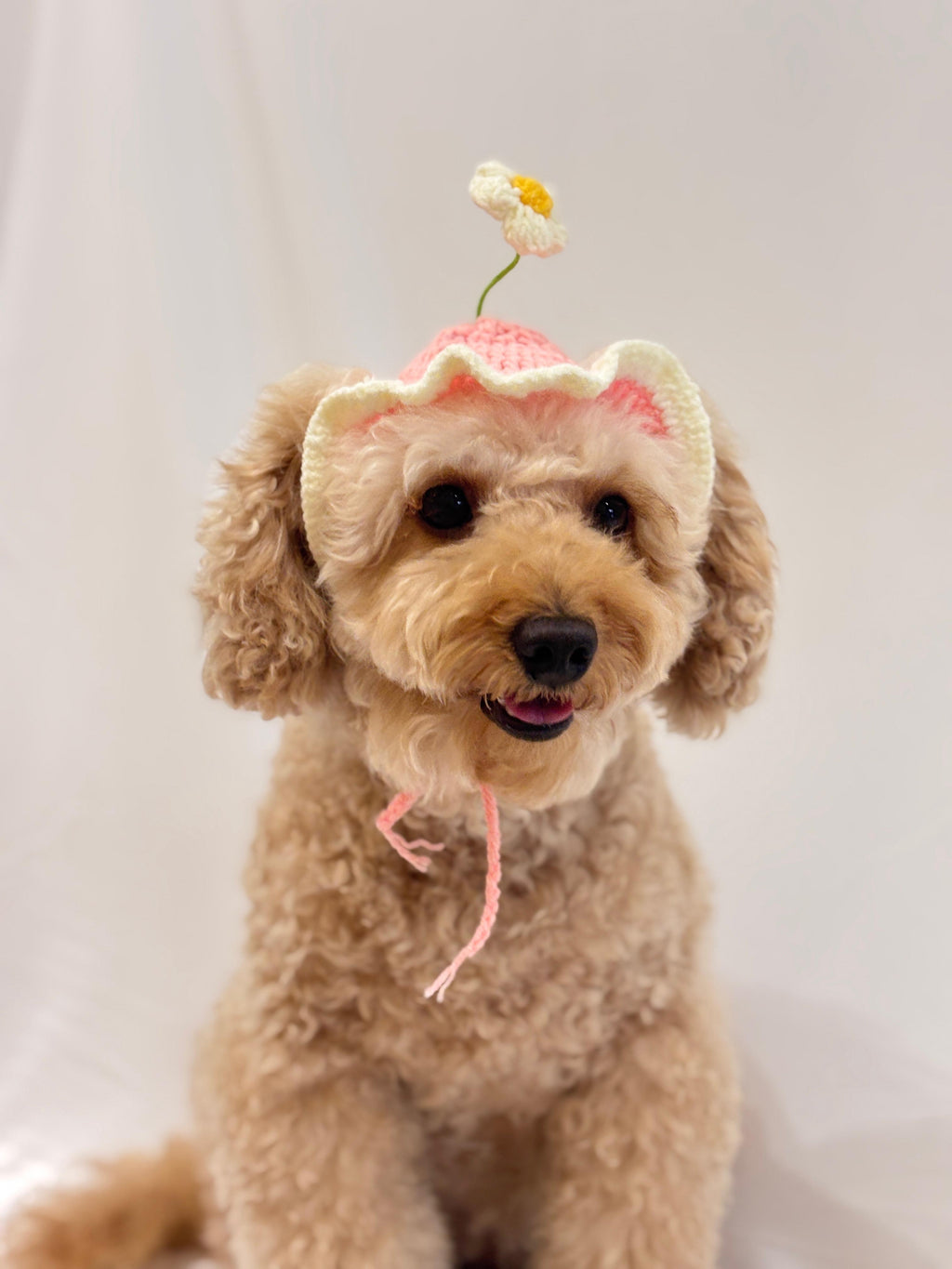 Handmade pink daisy flower crochet cap for small dogs and cats  