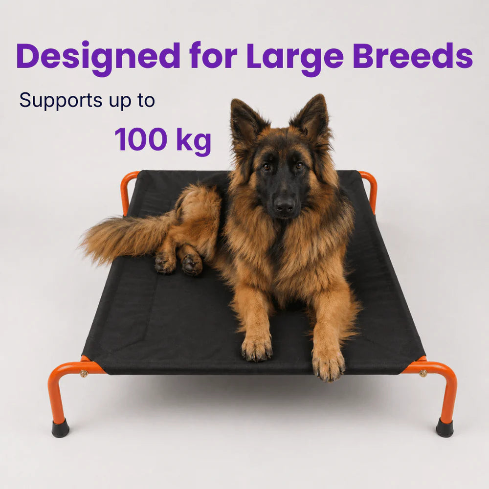 Heavy-duty elevated dog bed waterproof raised cooling bed for large dogs