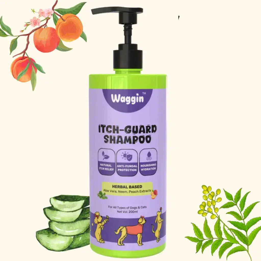 Itch-Guard Shampoo | Herbal Aloe Vera, Neem, Peach Extracts - Petspalz