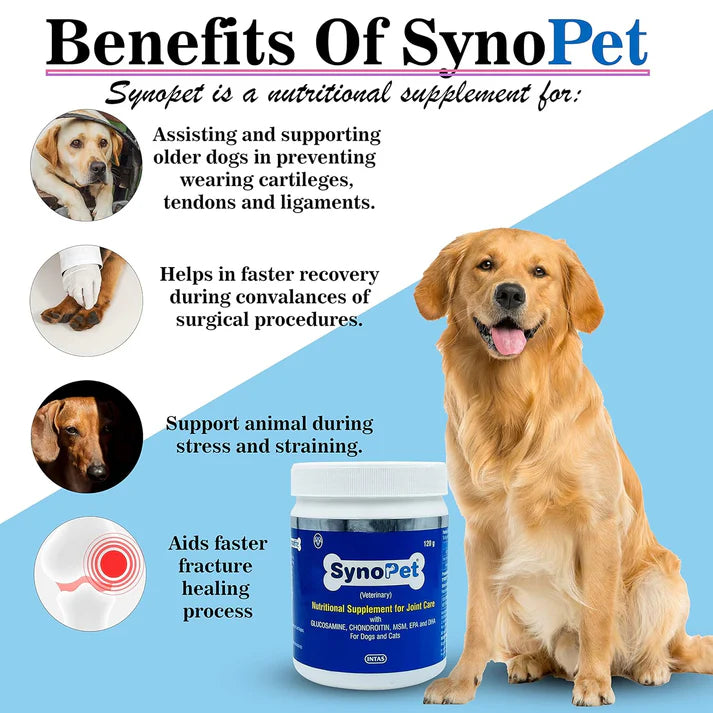 Pet arthritis relief and hip dysplasia support supplement – Petspalz