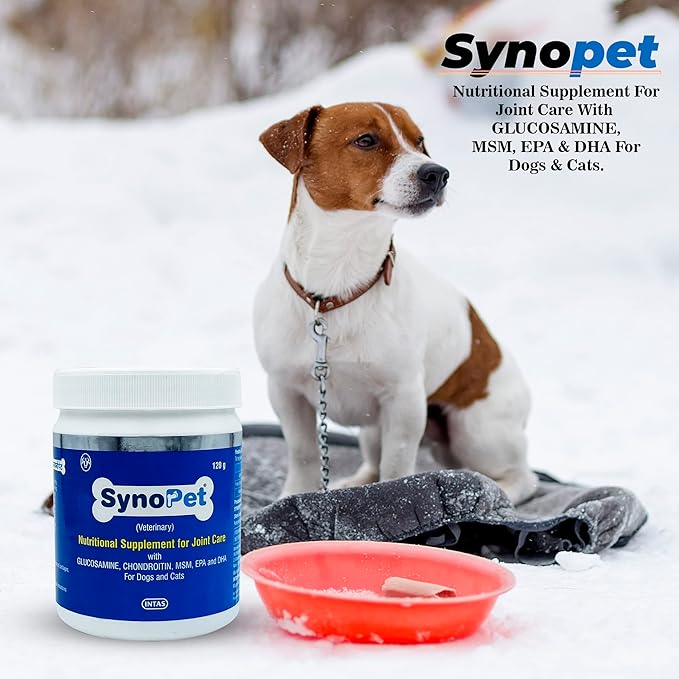 Pet arthritis relief and hip dysplasia support supplement – Petspalz