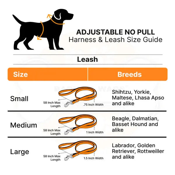 Heavy-duty harness kit for maximum comfort and zero choking - Petspalz