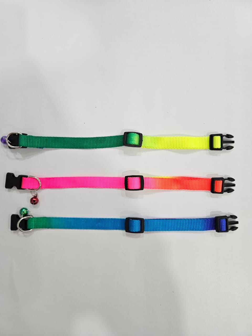 Colorful multicolor dog collar with buckle