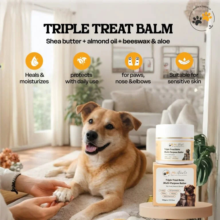 Natural paw balm with shea butter and beeswax
