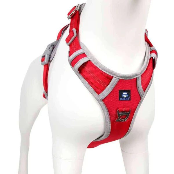 Petspalz