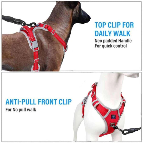 Petspalz