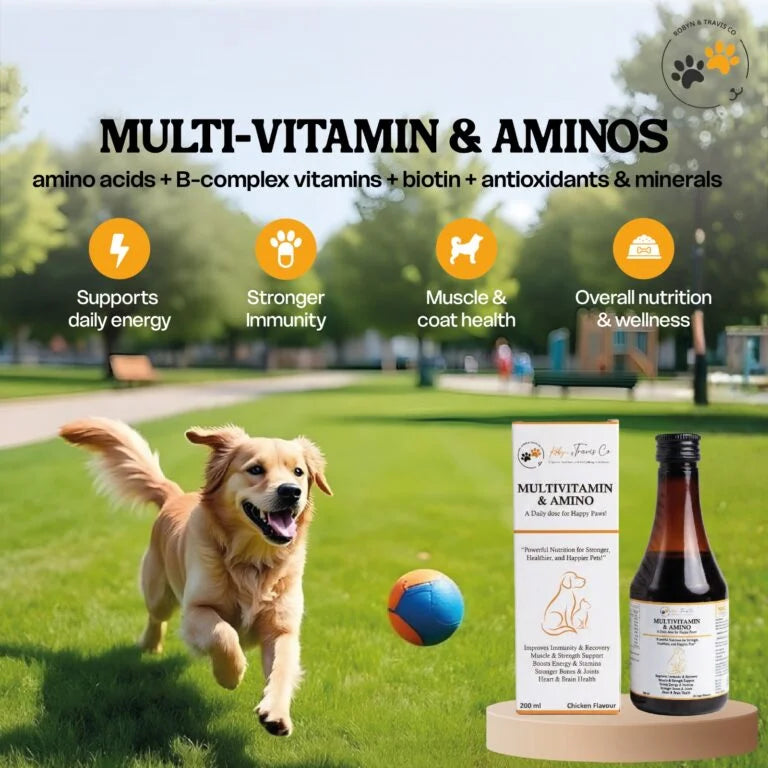 Omega 3 6 7 9 biotin pet supplement for shiny fur