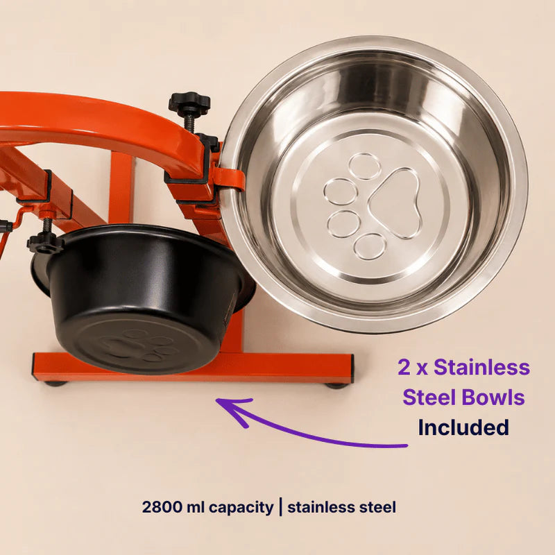 orange stainless steel elevated dog feeder