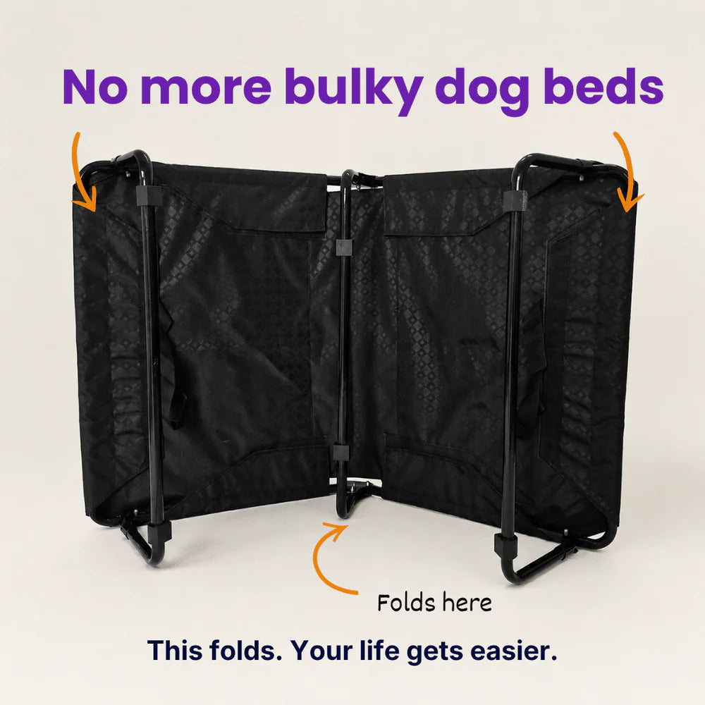 
orthopedic elevated dog bed