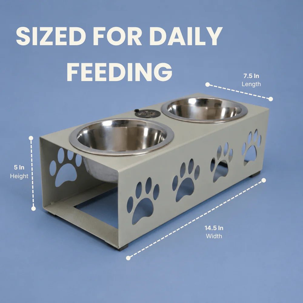 personalized dog feeding stand