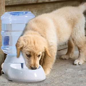 Automatic gravity pet water dispenser for dogs and cats
