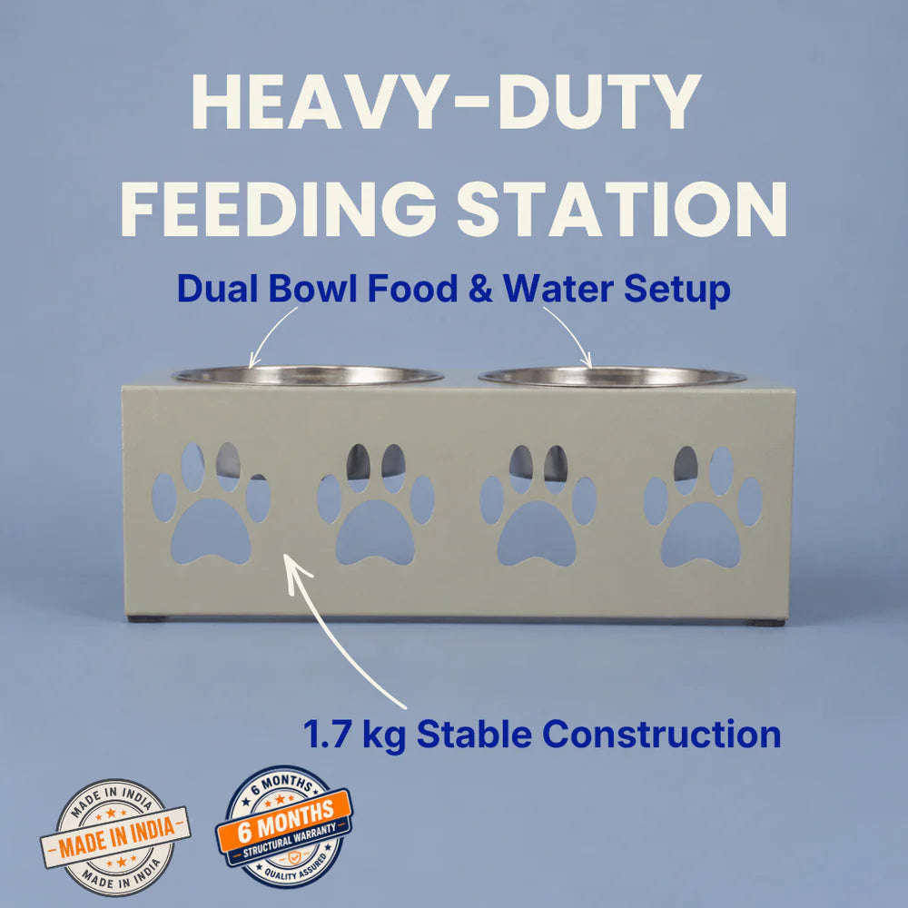 pet bowl stand India