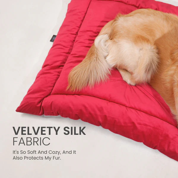 Buy Therma Flow Summer Dog Bed Petspalz at Best Price Online – red cooling pet bed made of velvety silk fabric with golden retriever lying on it.