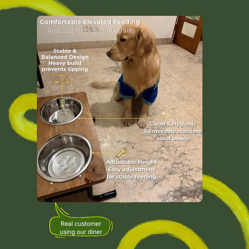 premium wooden dog feeder
