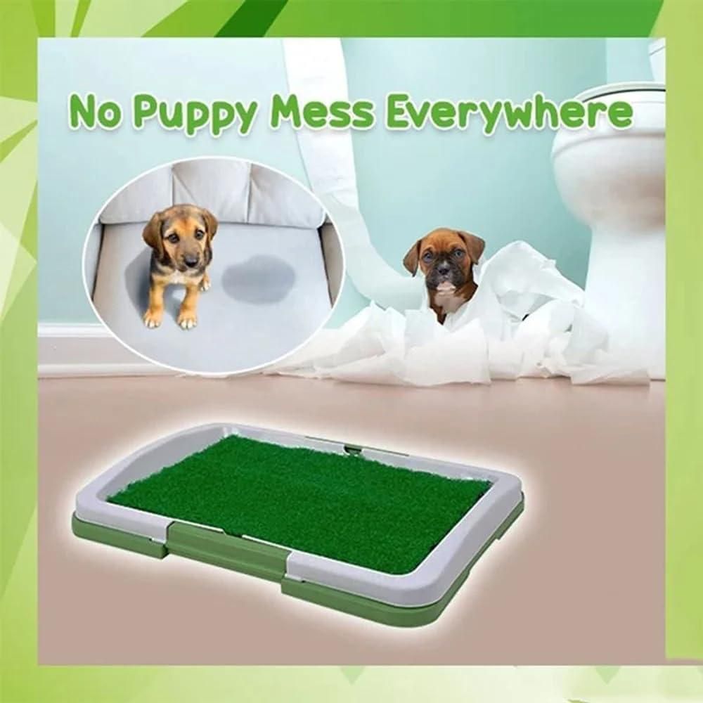 Eco-friendly dog training pad for home use