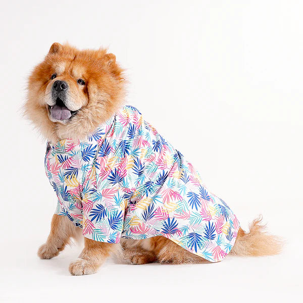 Shop Printed shirts For dogs online : petspalz