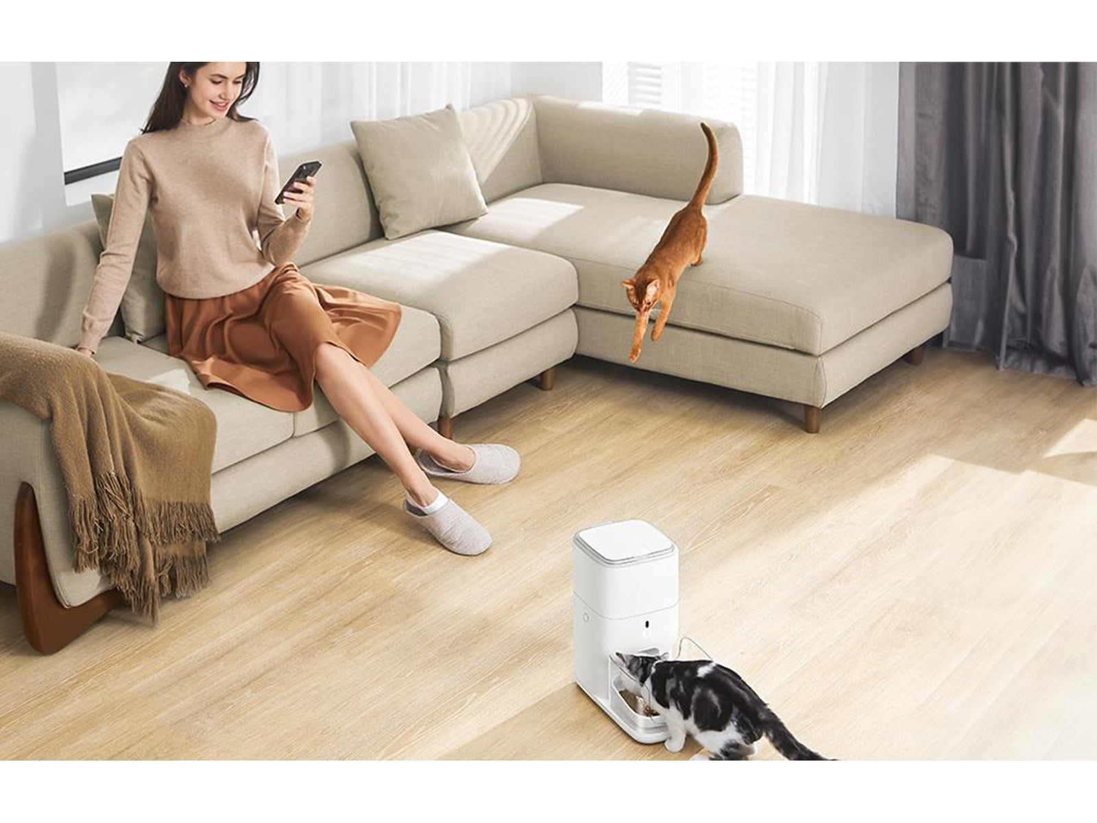 Smart 4L automatic feeder for cats and small dogs