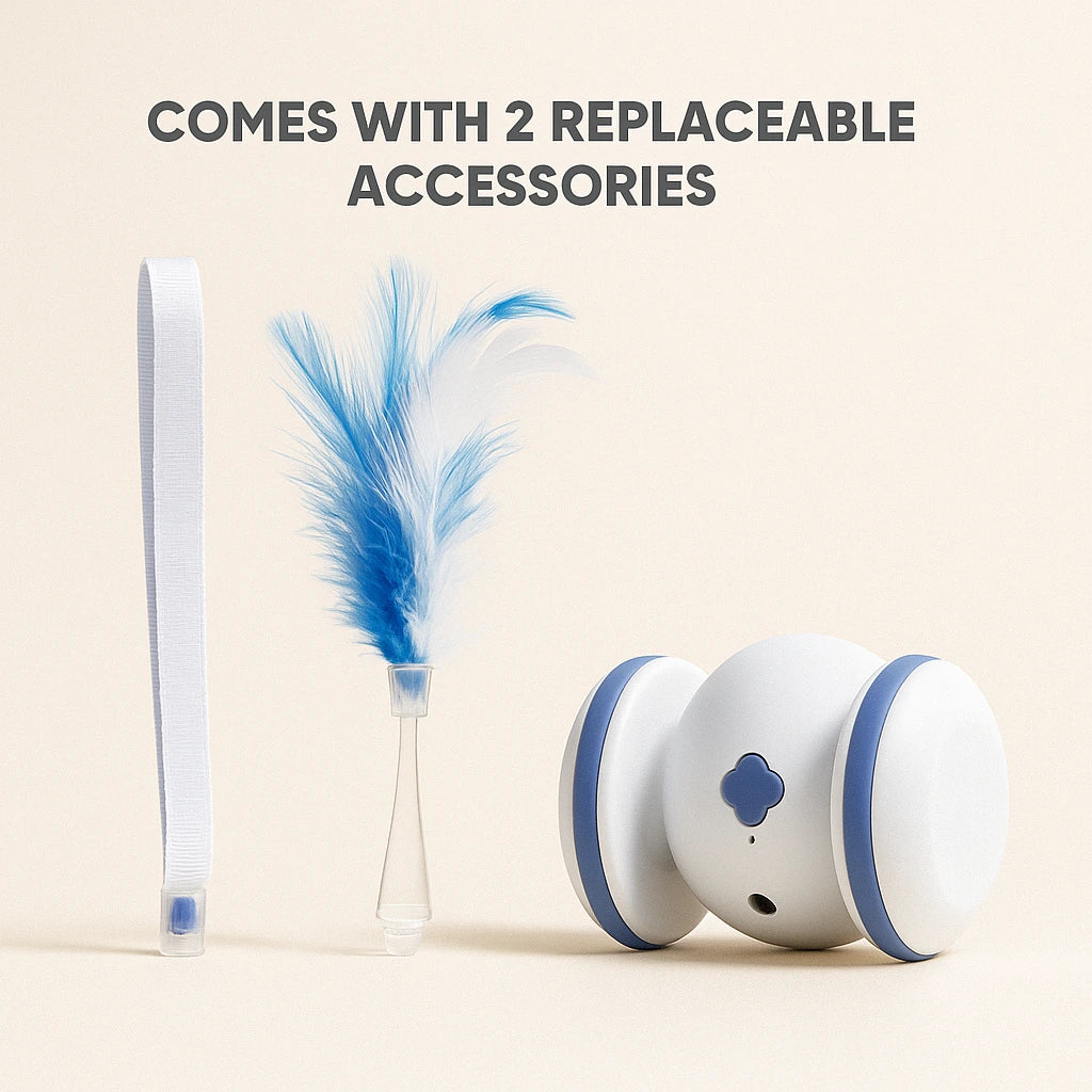 Smart electronic pet toy running on floor